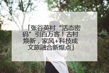 张谷英村“活态密码”引百万客！古村焕新，家风+科技成文旅融合新爆点