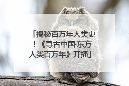 揭秘百万年人类史！《寻古中国·东方人类百万年》开播