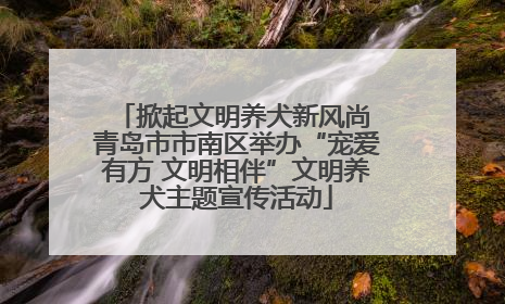 掀起文明养犬新风尚 青岛市市南区举办“宠爱有方 文明相伴”文明养犬主题宣传活动