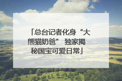 总台记者化身“大熊猫奶爸” 独家揭秘国宝可爱日常