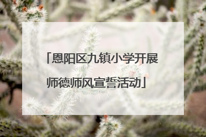 恩阳区九镇小学开展师德师风宣誓活动