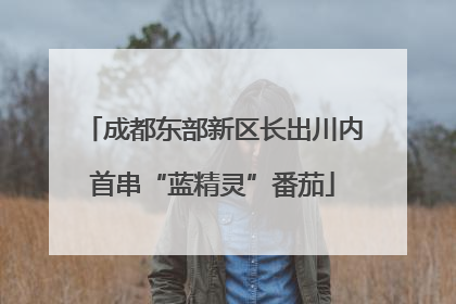 成都东部新区长出川内首串“蓝精灵”番茄