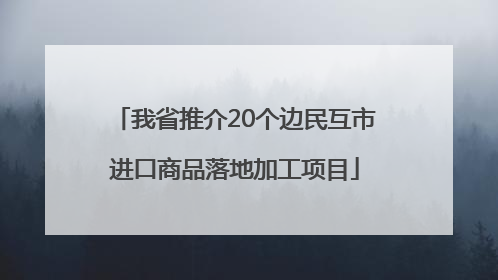 我省推介20个边民互市进口商品落地加工项目