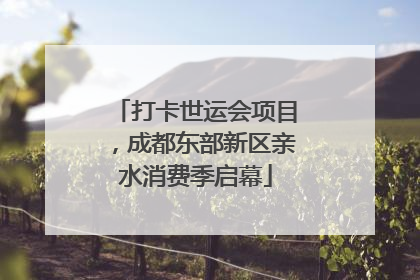 打卡世运会项目，成都东部新区亲水消费季启幕