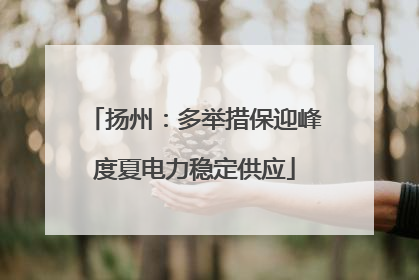 扬州：多举措保迎峰度夏电力稳定供应