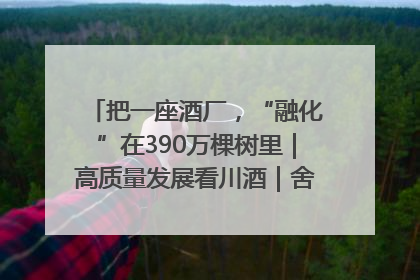 把一座酒厂，“融化”在390万棵树里｜高质量发展看川酒｜舍得酒｜舍得酒业｜舍得老酒｜沱牌酒