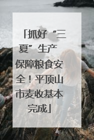 抓好“三夏”生产 保障粮食安全！平顶山市麦收基本完成