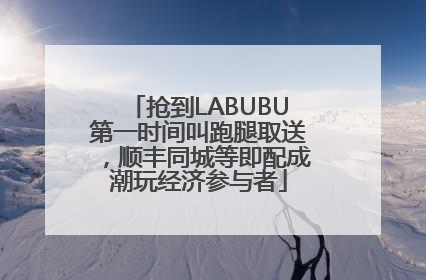 抢到LABUBU第一时间叫跑腿取送，顺丰同城等即配成潮玩经济参与者