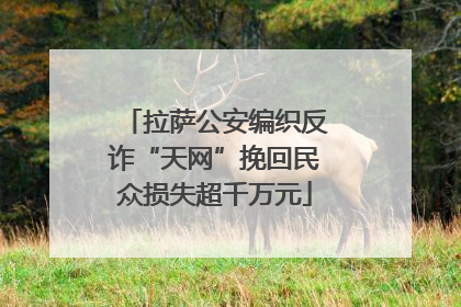 拉萨公安编织反诈“天网”挽回民众损失超千万元