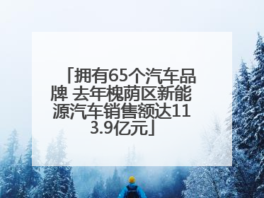拥有65个汽车品牌 去年槐荫区新能源汽车销售额达113.9亿元