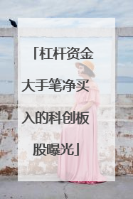 杠杆资金大手笔净买入的科创板股曝光