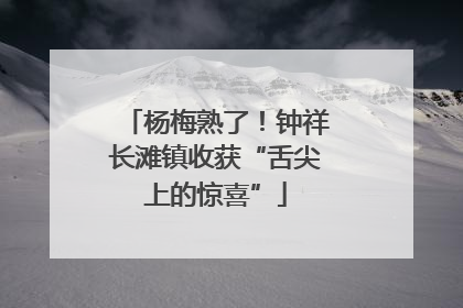 杨梅熟了！钟祥长滩镇收获“舌尖上的惊喜”