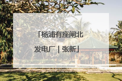 杨浦有座闸北发电厂｜张新