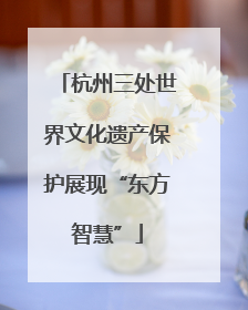 杭州三处世界文化遗产保护展现“东方智慧”