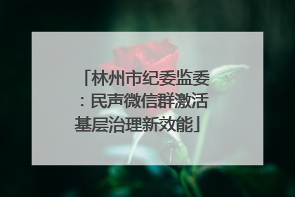 林州市纪委监委：民声微信群激活基层治理新效能