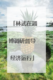 林武在淄博调研督导经济运行