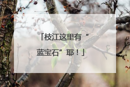 枝江这里有“蓝宝石”耶！