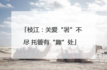 枝江：关爱“暑”不尽 托管有“趣”处
