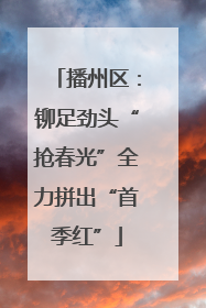 播州区：铆足劲头“抢春光”全力拼出“首季红”
