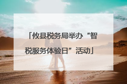 攸县税务局举办“智税服务体验日”活动