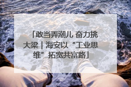 敢当弄潮儿 奋力挑大梁｜海安以“工业思维”拓宽共富路