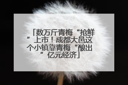 数万斤青梅“抢鲜”上市！成都大邑这个小镇靠青梅“酿出”亿元经济