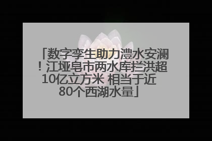 数字孪生助力澧水安澜！江垭皂市两水库拦洪超10亿立方米 相当于近80个西湖水量