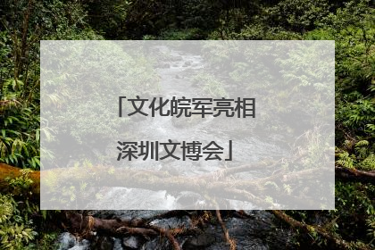 文化皖军亮相深圳文博会