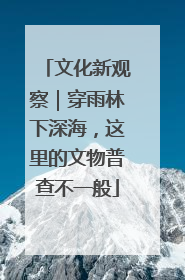 文化新观察｜穿雨林下深海，这里的文物普查不一般