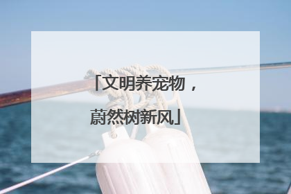 文明养宠物，蔚然树新风