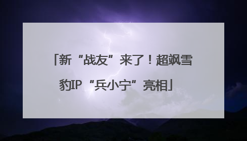 新“战友”来了！超飒雪豹IP“兵小宁”亮相