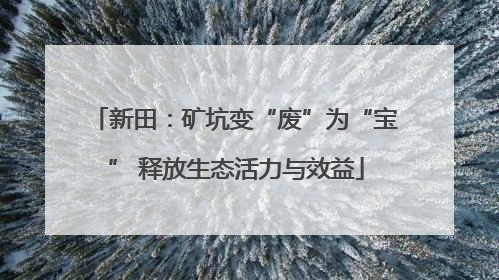 新田：矿坑变“废”为“宝” 释放生态活力与效益