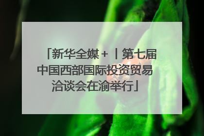 新华全媒＋丨第七届中国西部国际投资贸易洽谈会在渝举行