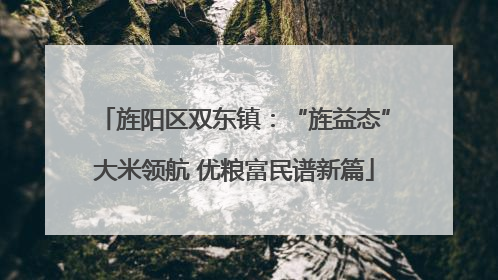 旌阳区双东镇：“旌益态”大米领航 优粮富民谱新篇