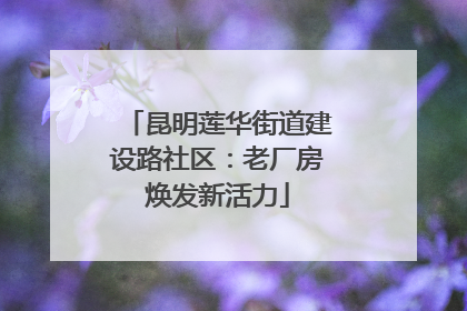 昆明莲华街道建设路社区：老厂房焕发新活力