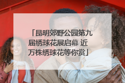昆明郊野公园第九届绣球花展启幕 近万株绣球花等你赏
