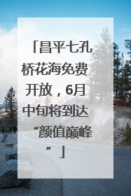 昌平七孔桥花海免费开放，6月中旬将到达“颜值巅峰”