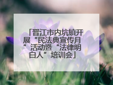 晋江市内坑镇开展“民法典宣传月”活动暨“法律明白人”培训会