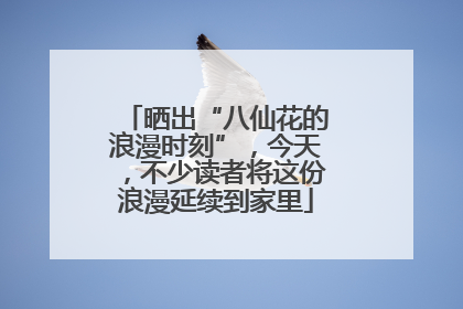 晒出“八仙花的浪漫时刻”，今天，不少读者将这份浪漫延续到家里
