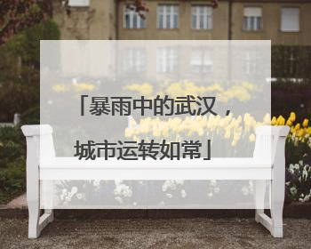 暴雨中的武汉，城市运转如常