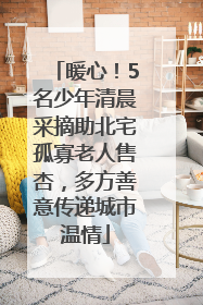 暖心！5名少年清晨采摘助北宅孤寡老人售杏，多方善意传递城市温情