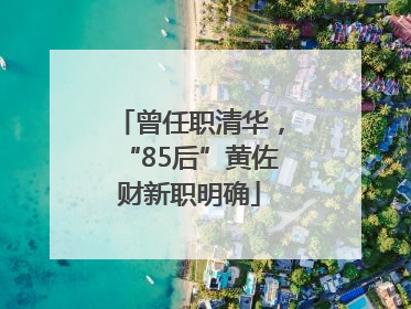 曾任职清华，“85后”黄佐财新职明确
