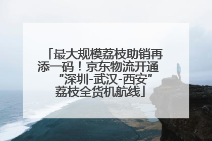最大规模荔枝助销再添一码！京东物流开通“深圳-武汉-西安” 荔枝全货机航线