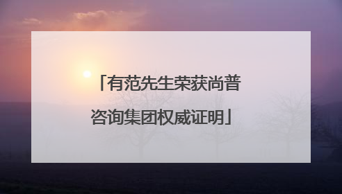 有范先生荣获尚普咨询集团权威证明