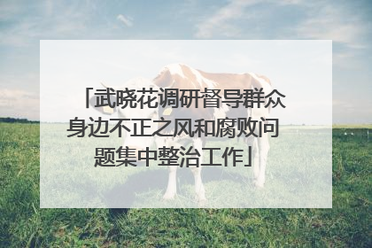 武晓花调研督导群众身边不正之风和腐败问题集中整治工作