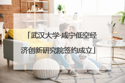 武汉大学·咸宁低空经济创新研究院签约成立