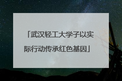 武汉轻工大学子以实际行动传承红色基因