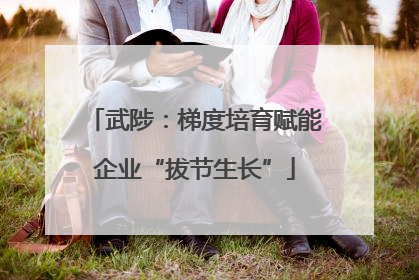 武陟：梯度培育赋能企业“拔节生长”