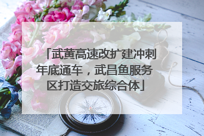 武黄高速改扩建冲刺年底通车，武昌鱼服务区打造交旅综合体