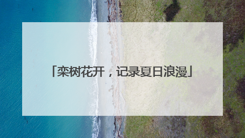 栾树花开，记录夏日浪漫